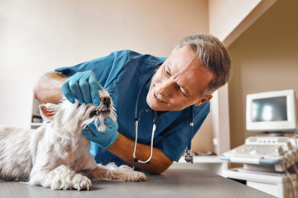 Best Emergency Gum Treatment in Lyndhurst, OH